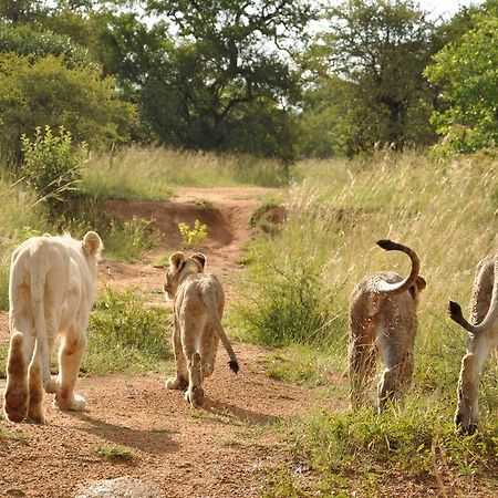 Ukutula Lion Lodge Beestekraal  Екстериор снимка